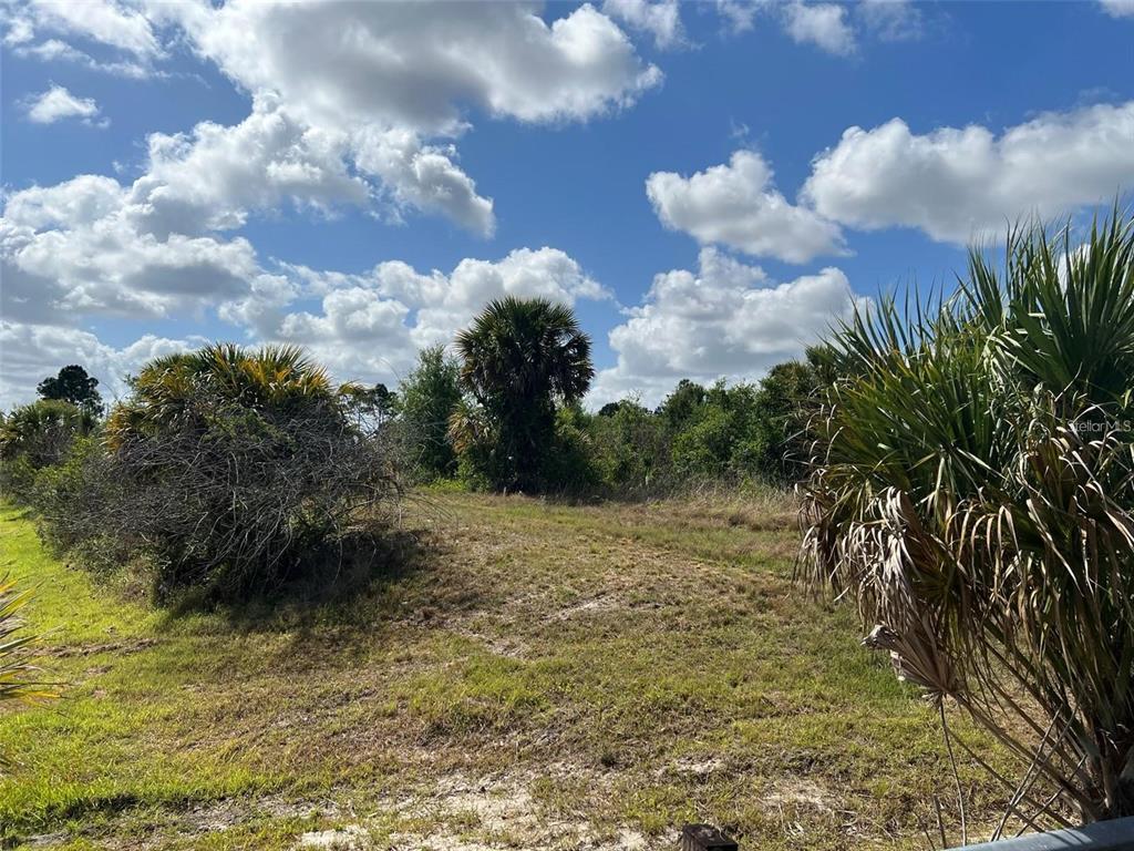 An undeveloped, grassy lot features scattered shrubs and palm trees under a blue sky — FIVELEAF ROAD, NORTH PORT, FL