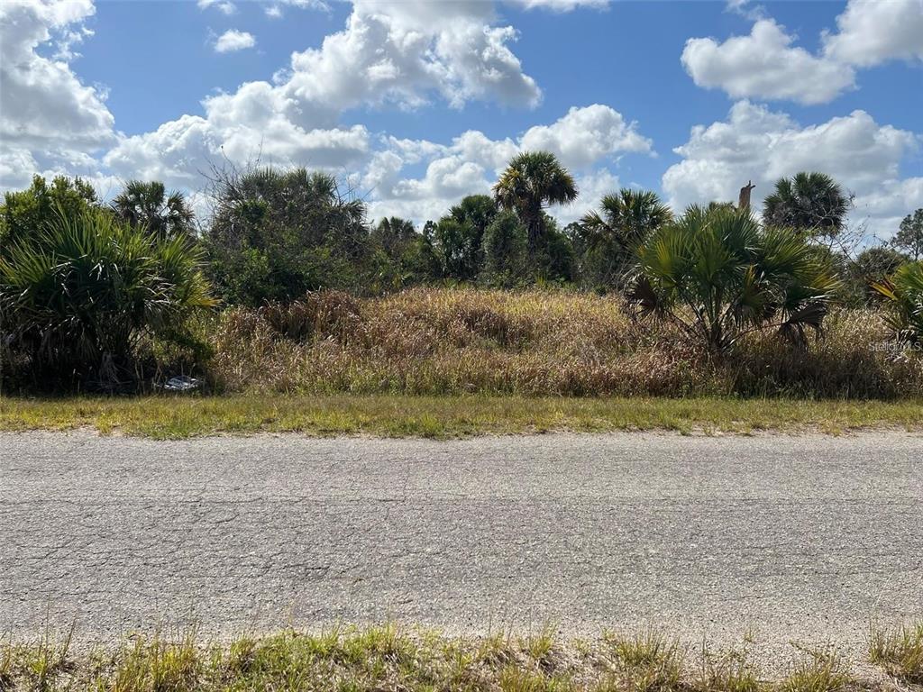 A vacant, overgrown lot sits behind a paved road under a blue sky — FIVELEAF ROAD, NORTH PORT, FL