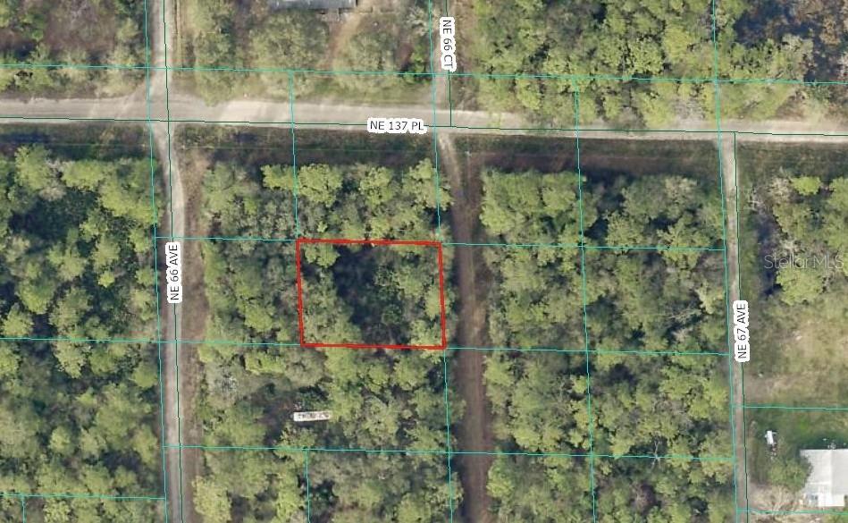 This is an aerial map showing a rectangular plot of land outlined in red — 00 NE 66TH COURT, CITRA, FL