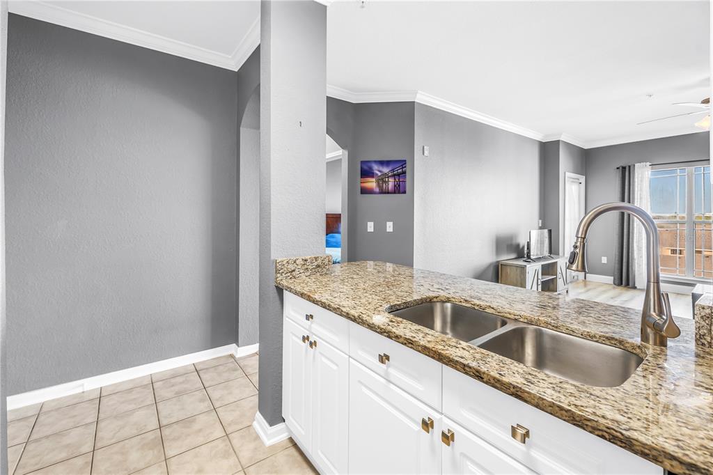 A kitchen sink with a granite countertop overlooks a living area with gray walls — 1216 S MISSOURI AVENUE UNIT 415, CLEARWATER, FL
