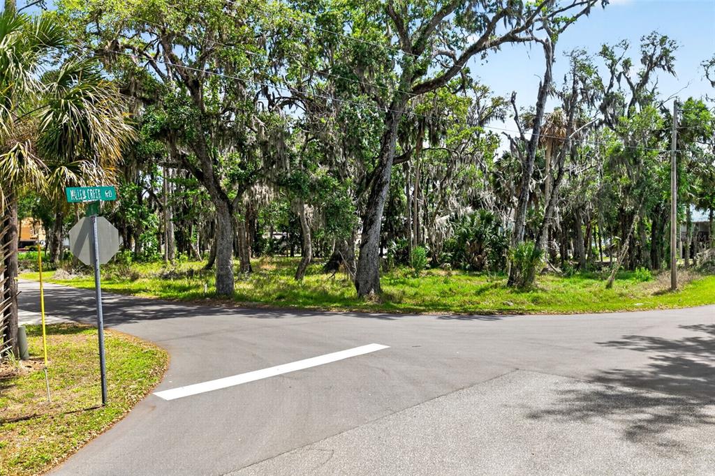 A paved road intersection features a street sign and a wooded lot with trees — 580 NW 14TH PLACE, CRYSTAL RIVER, FL