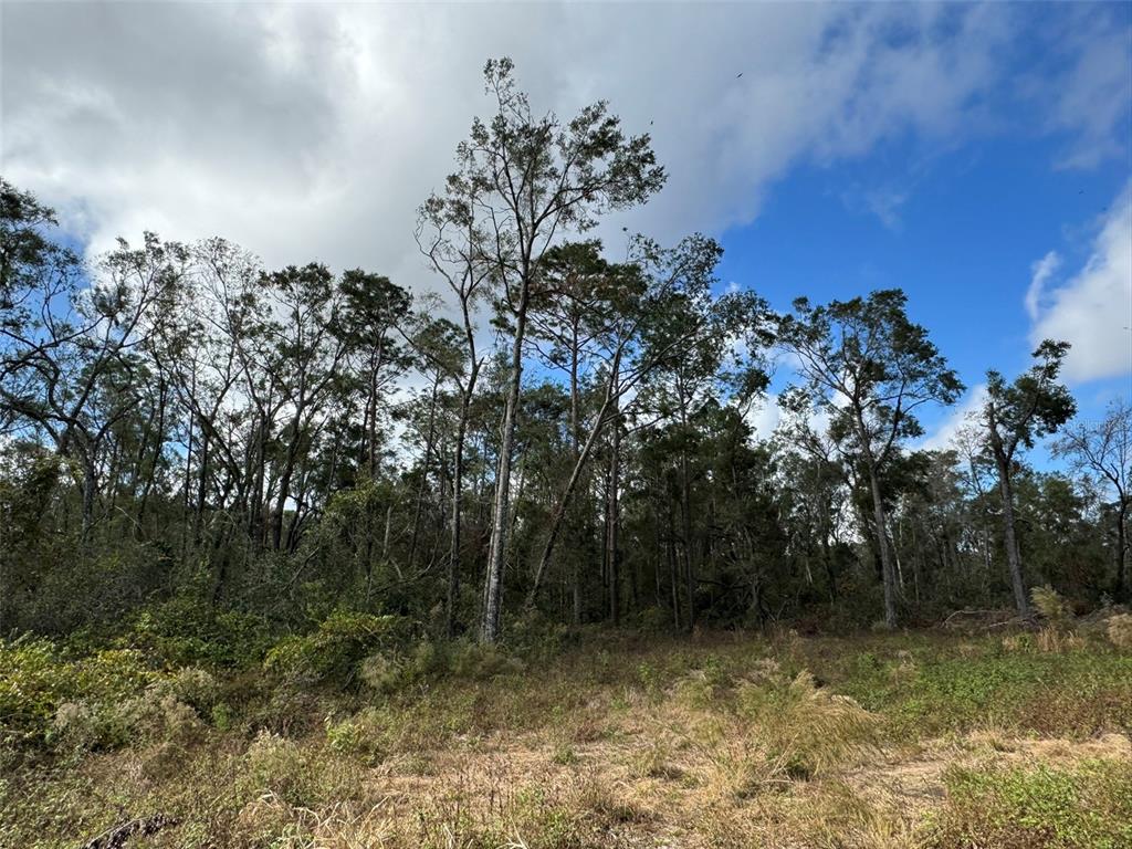 143RD DRIVE, O'BRIEN, FL — photo 2 of 8