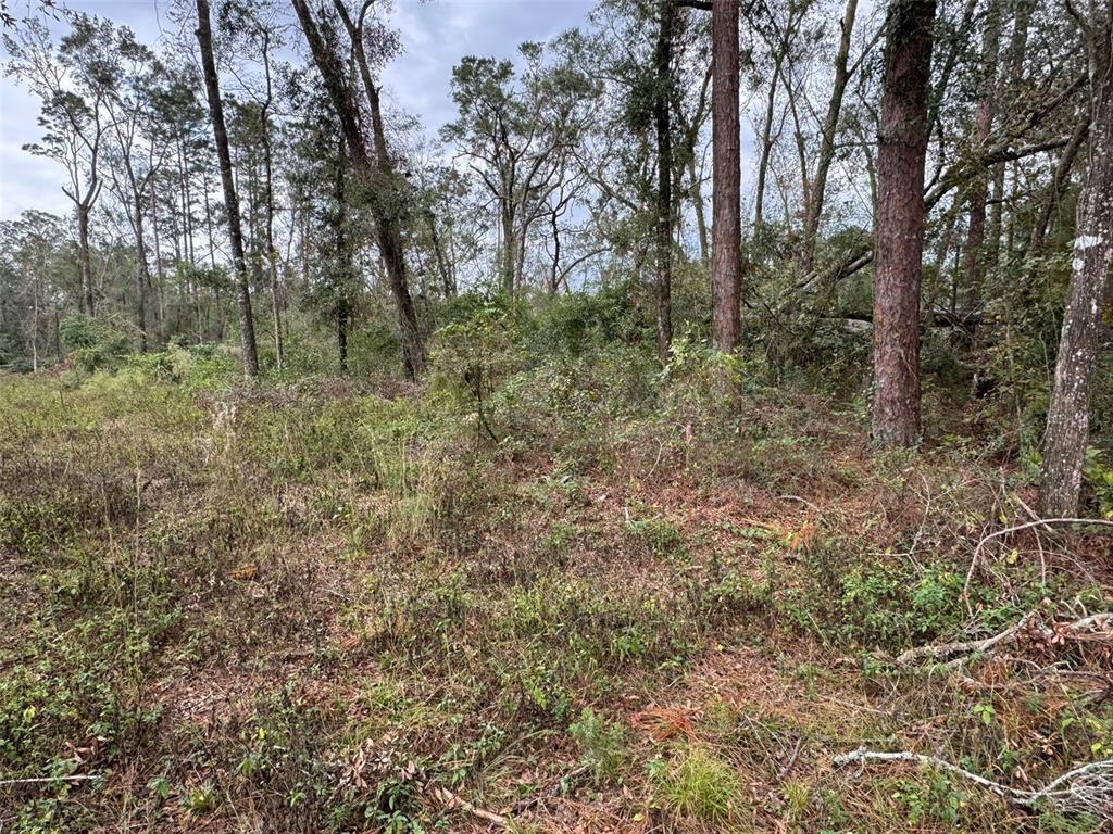 143RD DRIVE, O'BRIEN, FL — photo 4 of 8