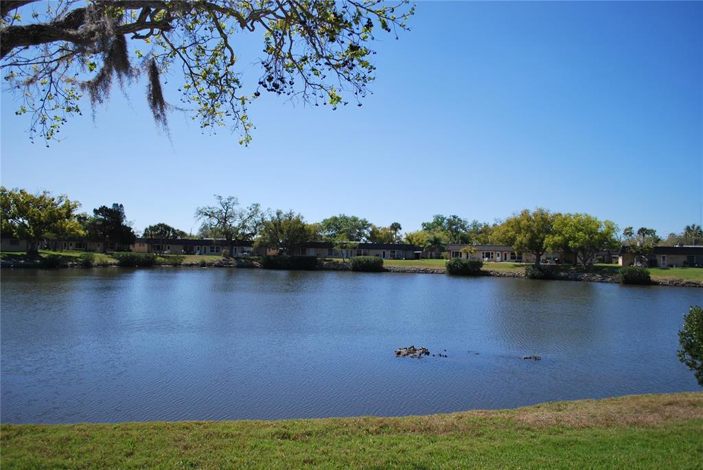 A view of a calm lake with residential buildings and trees along the far bank — 4136 STRATFORD DRIVE, NEW PORT RICHEY, FL
