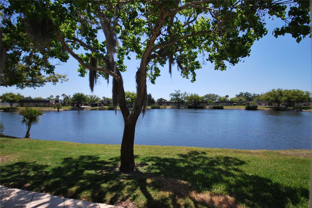 A large tree with Spanish moss stands on a grassy lawn overlooking a lake — 4136 STRATFORD DRIVE, NEW PORT RICHEY, FL