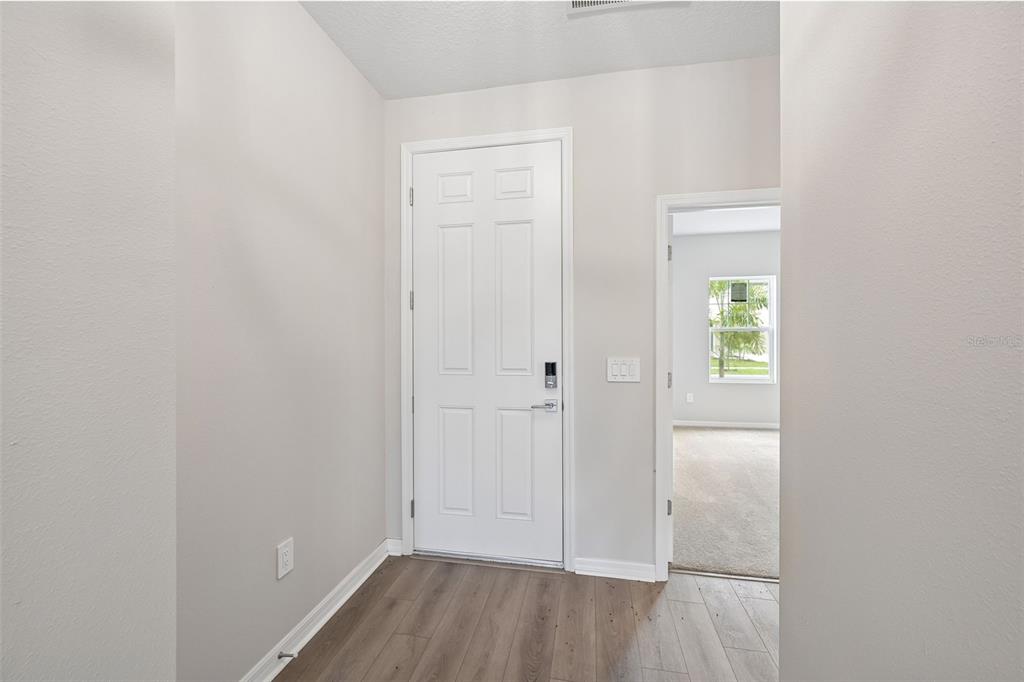 An entryway features a white front door, light gray walls, and wood-look flooring — 5924 FRESH FLORA DRIVE, WIMAUMA, FL