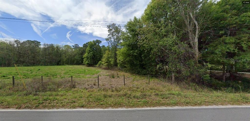 A grassy, fenced-in vacant lot is bordered by a line of trees and a paved road — GREEN POND RD, POLK CITY, FL