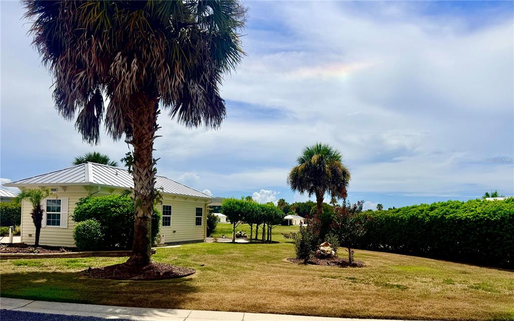 A light-colored house with a metal roof sits on a lawn with palm trees — 9444 SE 49TH TERRACE, WEBSTER, FL