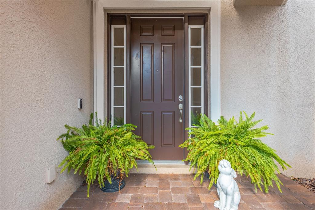 A brown front door is flanked by two side windows and two large potted ferns — 9127 TILLINGHAST DRIVE, TAMPA, FL