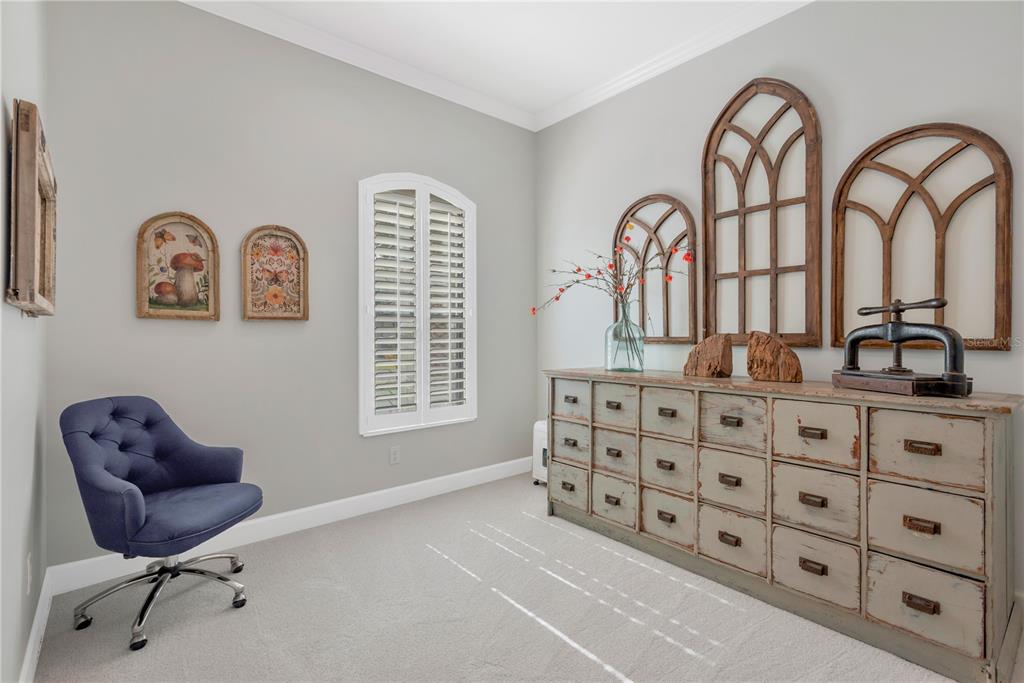 A room with gray walls, carpet, a blue office chair, and a large wooden dresser — 9127 TILLINGHAST DRIVE, TAMPA, FL