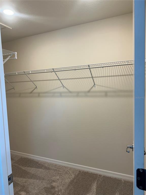A walk-in closet features beige walls, carpeted flooring, and white wire shelving — 2511 BRIGHT JEWEL STREET, KISSIMMEE, FL