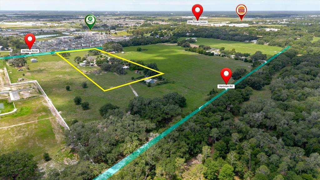 This aerial view shows a large, grassy property outlined in yellow near a road — 31557 CR-52, SAN ANTONIO, FL