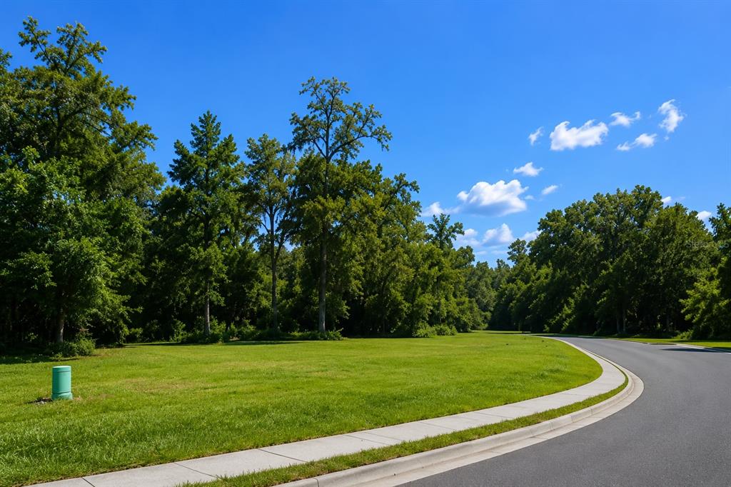 A paved road curves past a grassy lot bordered by a dense forest of trees — 16532 NW 245TH TERRACE, HIGH SPRINGS, FL