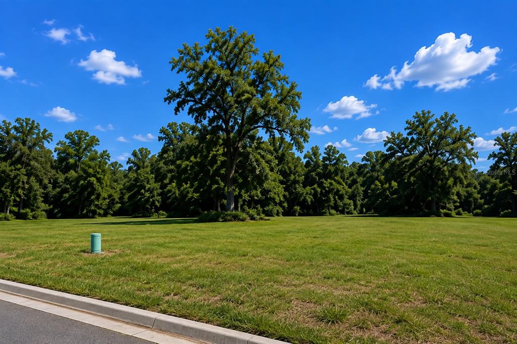 A grassy, vacant lot features a prominent large tree against a blue sky with clouds — 16532 NW 245TH TERRACE, HIGH SPRINGS, FL
