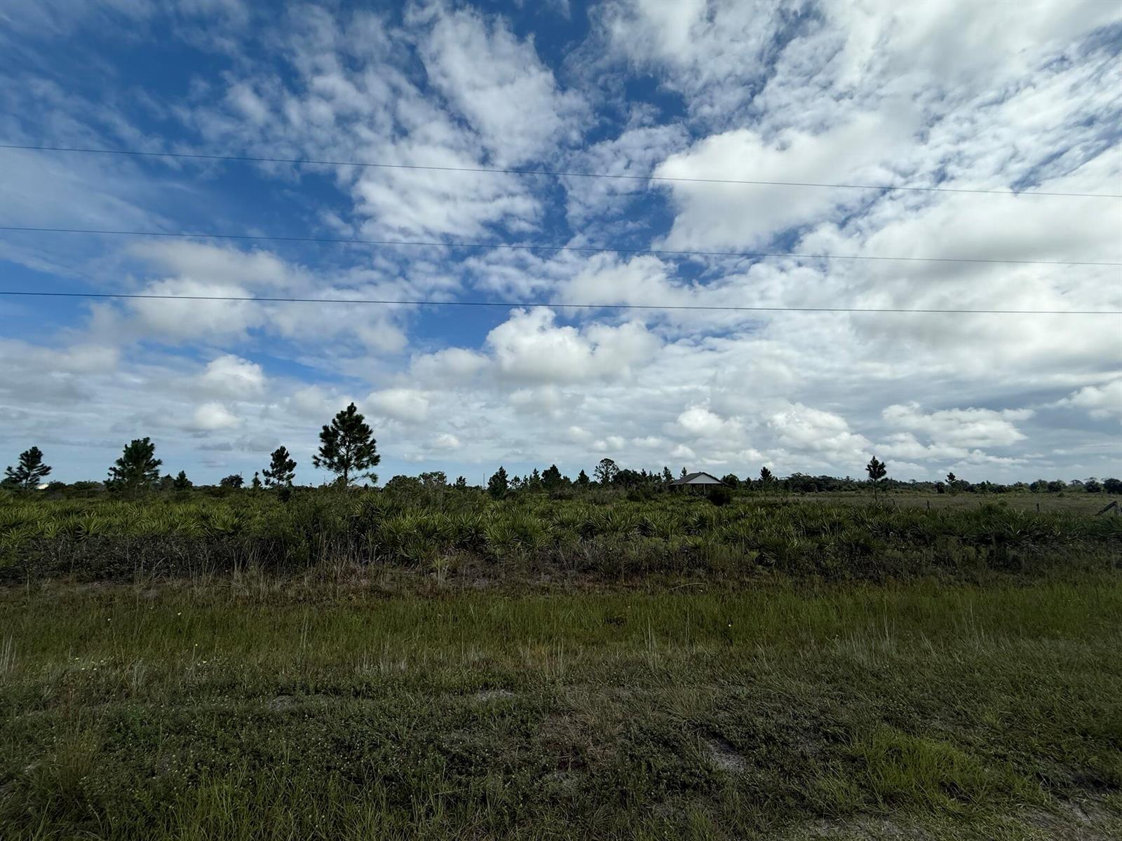 A wide, grassy field with scattered trees and shrubs under a blue, cloudy sky — 18619 NW 248th Street, Okeechobee FL 34972, OKEECHOBEE, FL