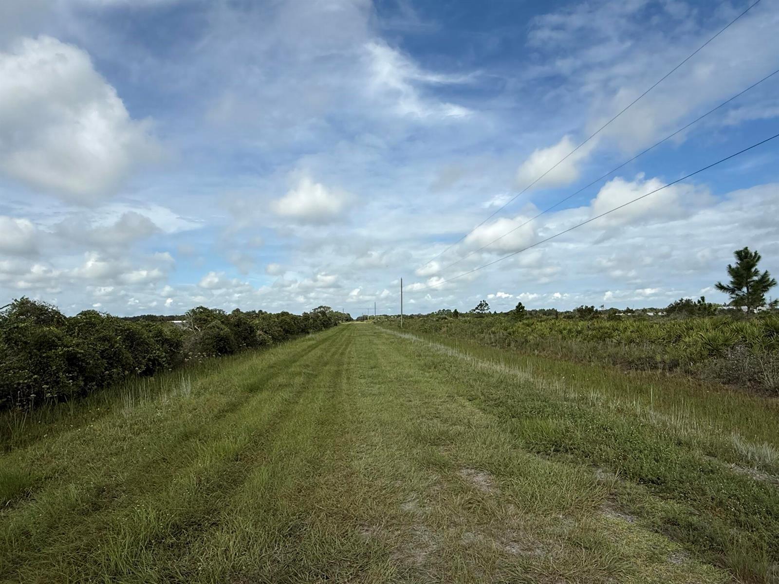 A grassy path stretches between a line of trees and low brush under a cloudy sky — 18619 NW 248th Street, Okeechobee FL 34972, OKEECHOBEE, FL