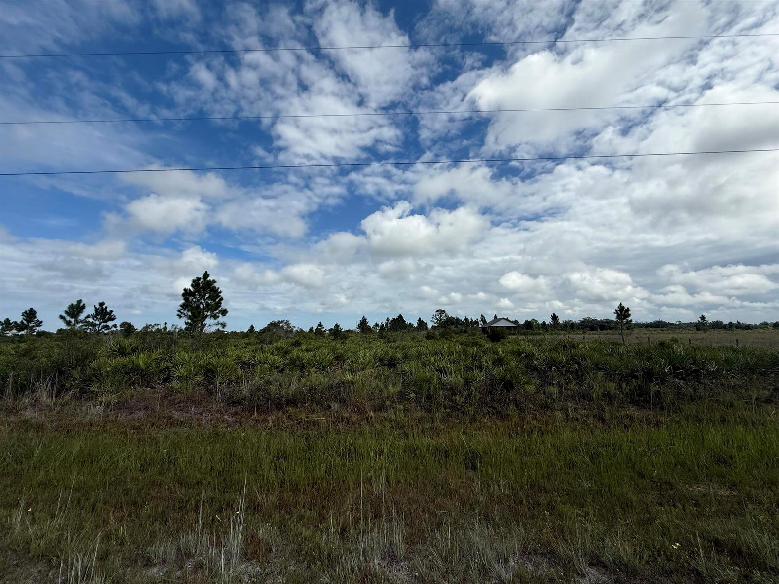 A grassy field with low-lying shrubs and scattered trees under a cloudy blue sky — 18619 NW 248th Street, Okeechobee FL 34972, OKEECHOBEE, FL