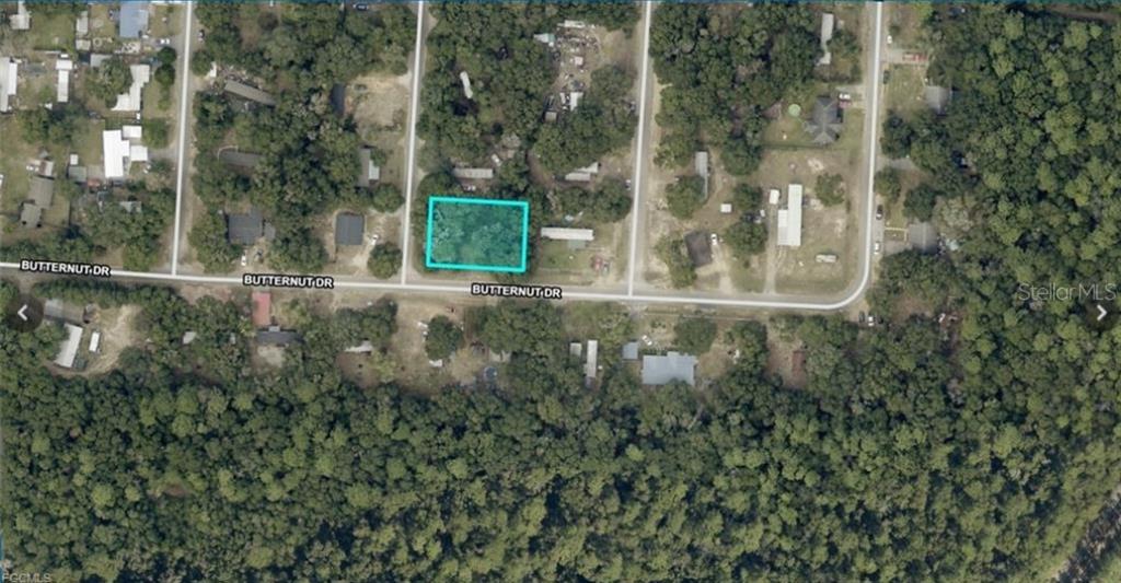 This is an aerial map view showing a vacant, tree-covered lot outlined in blue — 6425 BUTTERNUT DRIVE, MILTON, FL