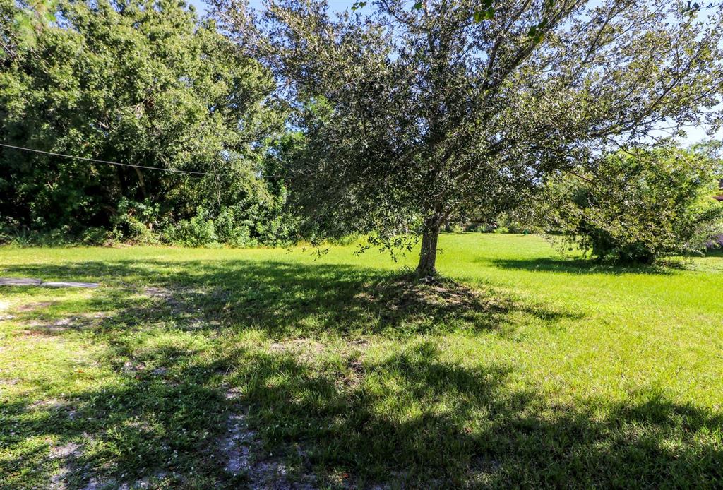 A large, grassy backyard features a mature tree and dense foliage along the property line — 3580 SWANEE ROAD, PORT CHARLOTTE, FL