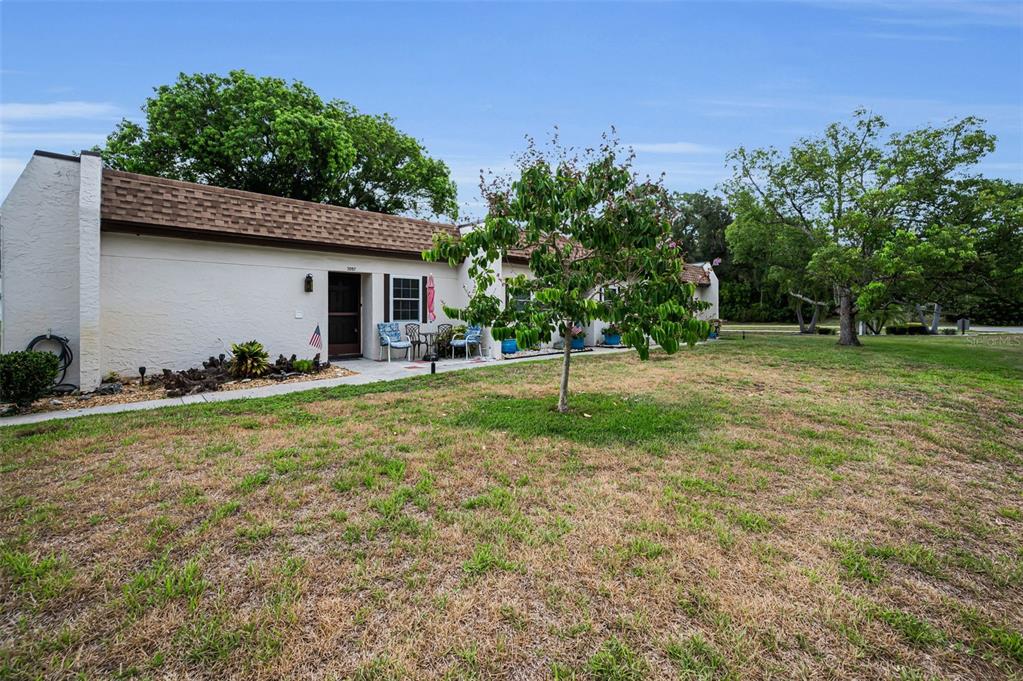 A single-story, light-colored stucco house with a brown shingled roof and a front yard tree — 3097 MISSION GROVE DRIVE, PALM HARBOR, FL