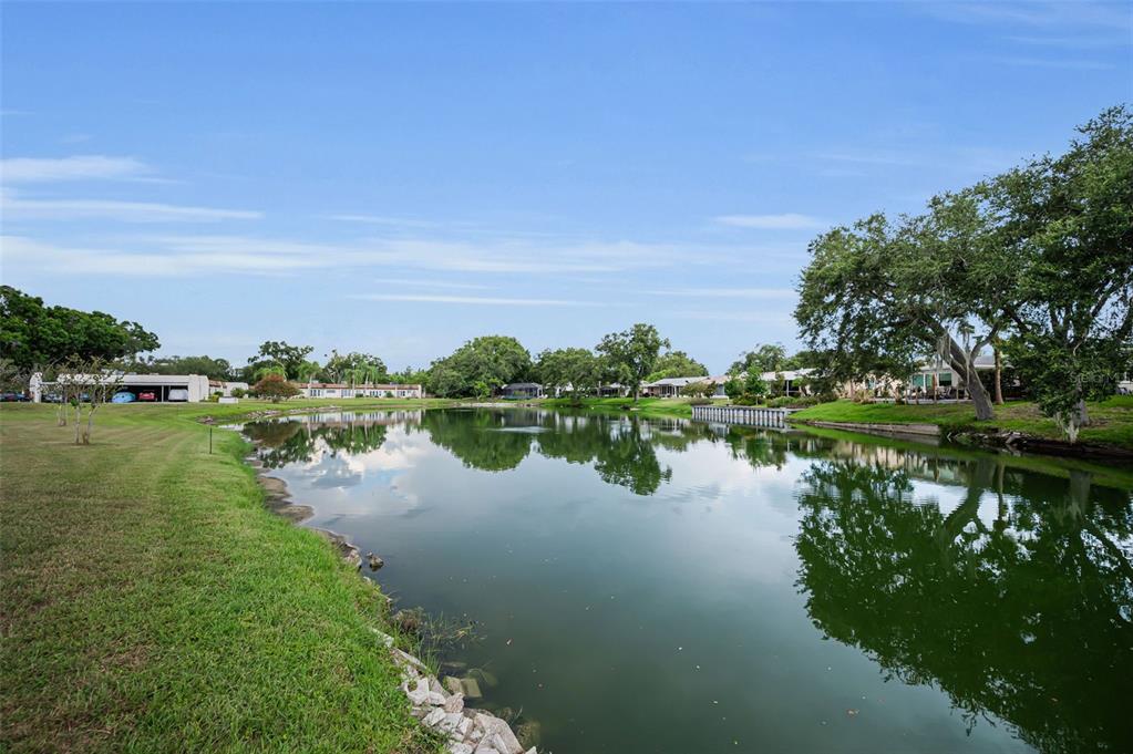 A grassy lawn slopes down to a pond surrounded by trees and residential houses — 3097 MISSION GROVE DRIVE, PALM HARBOR, FL