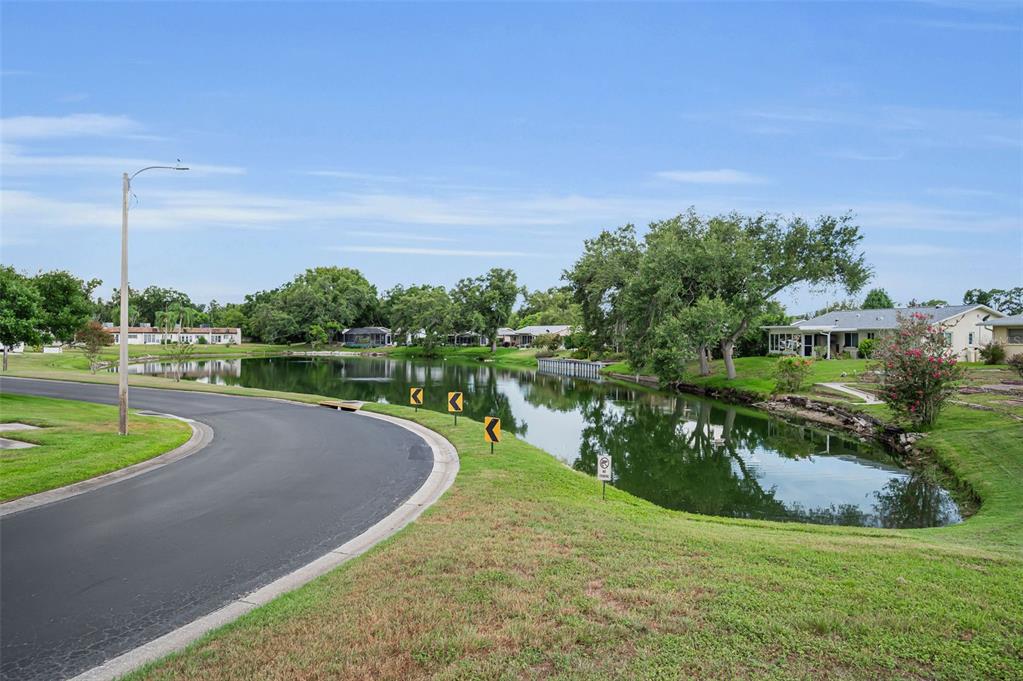 A curved asphalt road borders a pond surrounded by grass, trees, and residential houses — 3097 MISSION GROVE DRIVE, PALM HARBOR, FL