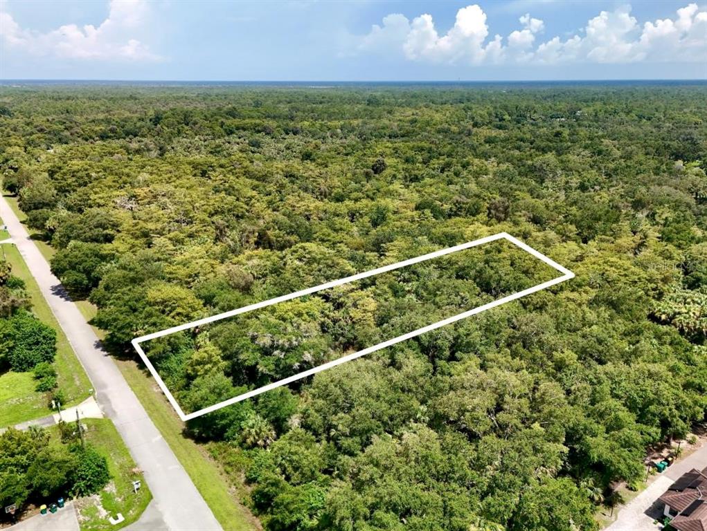 An aerial view shows a rectangular plot of land outlined in white amidst dense forest — 35TH AVENUE NW, NAPLES, FL