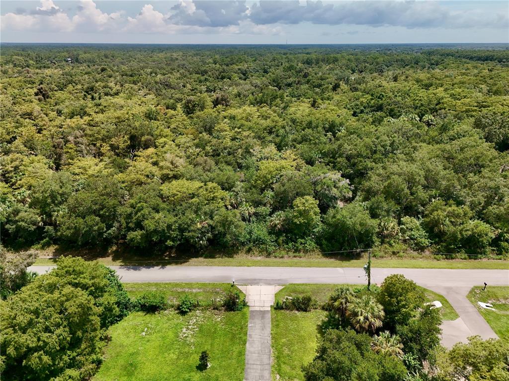 An aerial view shows a paved driveway leading to a road bordering a wooded area — 35TH AVENUE NW, NAPLES, FL