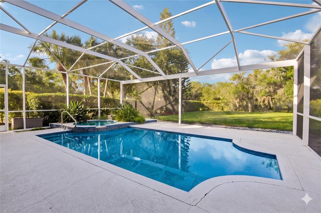 A screened-in swimming pool and spa with a concrete deck overlooking a grassy backyard — 586 KINGSMILL COURT, OLDSMAR, FL