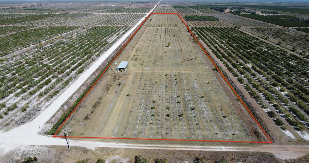 An aerial view shows a rectangular plot of land outlined in red with young trees — NE HWY 70, ARCADIA, FL