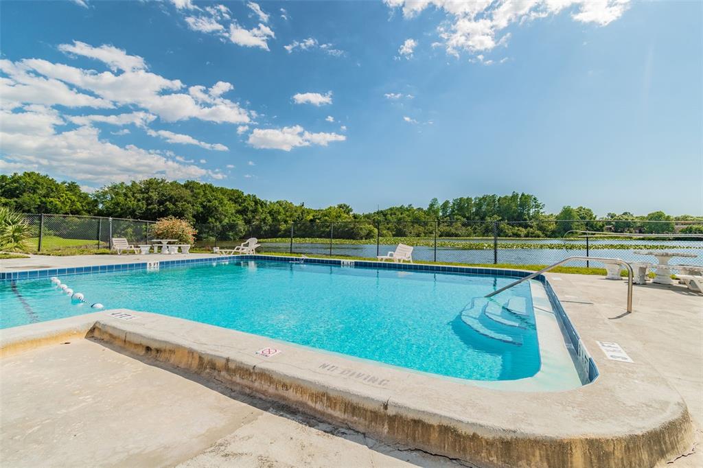 An outdoor swimming pool with a metal fence overlooks a lake under a blue sky — 4036 CORTEZ DRIVE UNIT A, TAMPA, FL