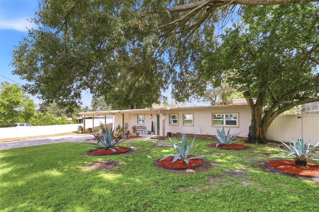 A single-story house with a carport, large oak trees, and agave plants in the yard — 6714 NINA ROSA DRIVE, ORLANDO, FL