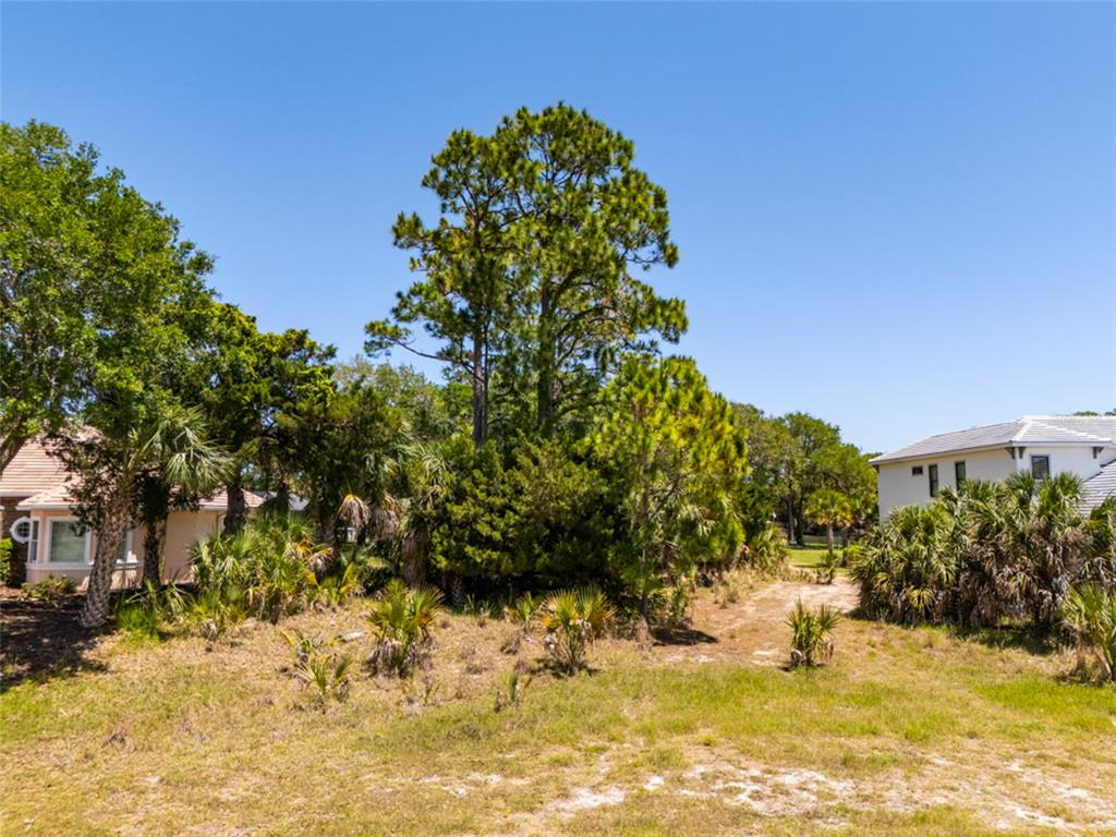 A grassy lot with trees and shrubs sits between two residential houses under a blue sky — 66 OLD OAK DRIVE S, PALM COAST, FL