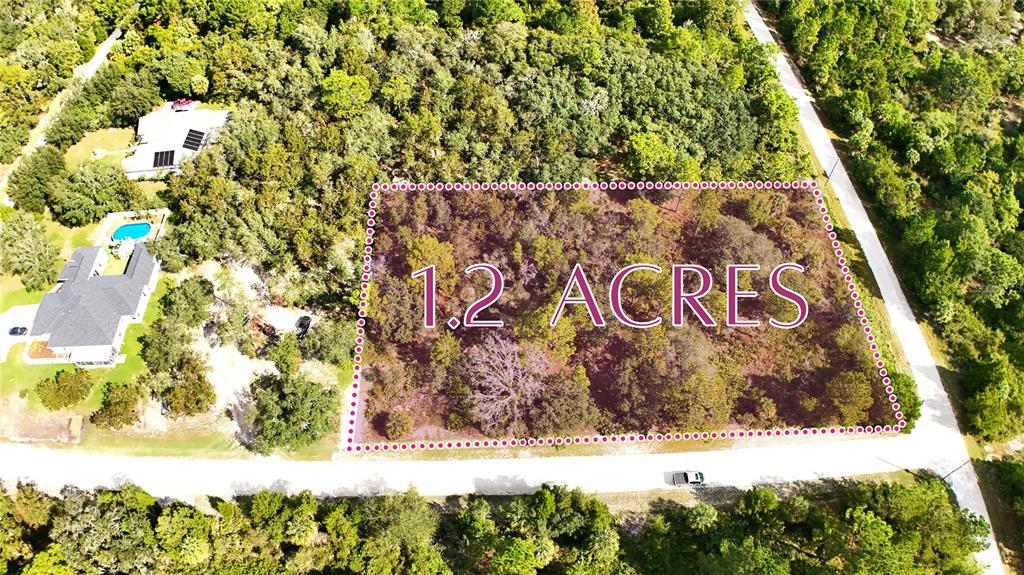 An aerial view shows a rectangular 1.2-acre wooded lot bordered by roads and nearby houses — SYRACUSE DRIVE, BROOKSVILLE, FL
