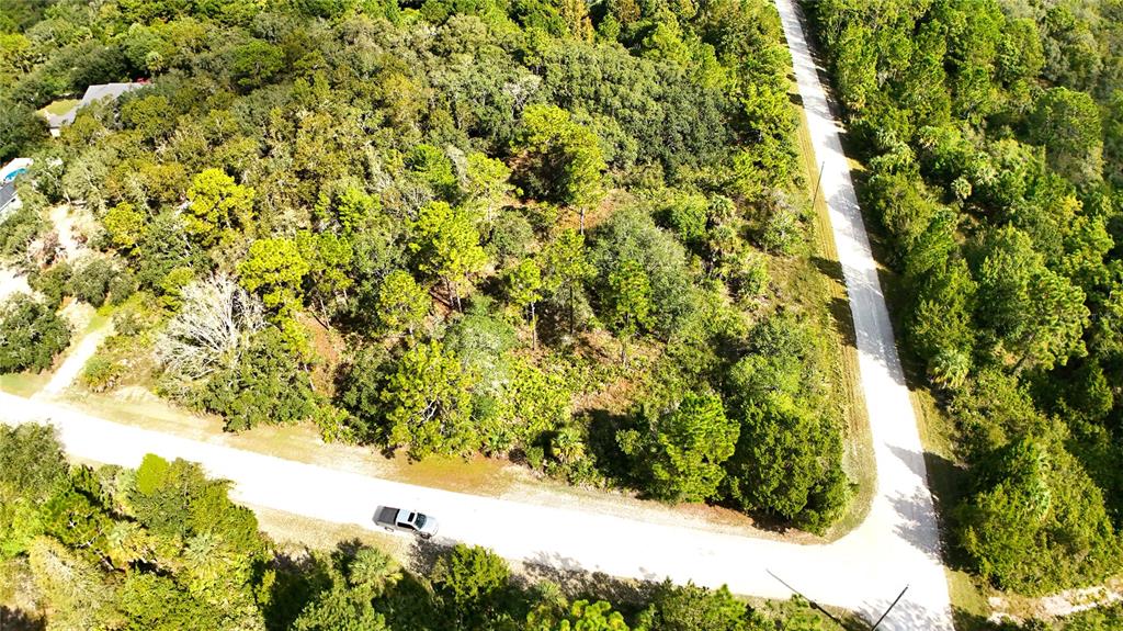An aerial view shows a wooded corner lot bordered by two paved roads — SYRACUSE DRIVE, BROOKSVILLE, FL