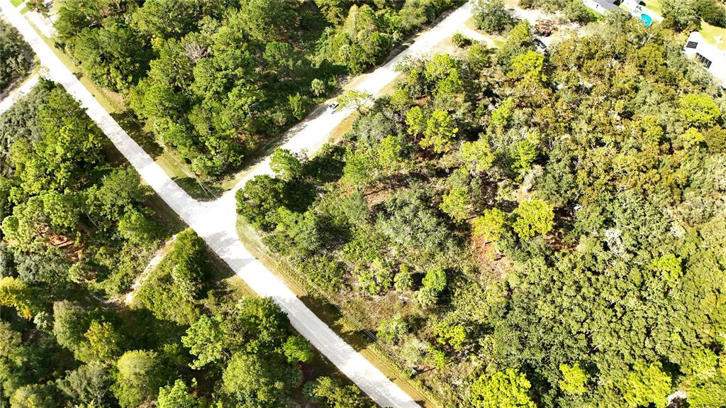 An aerial view shows a dirt road intersecting through a dense, wooded residential area — SYRACUSE DRIVE, BROOKSVILLE, FL