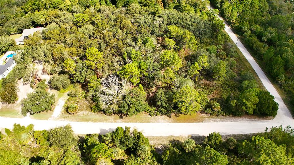 An aerial view shows a wooded, undeveloped lot bordered by two dirt roads — SYRACUSE DRIVE, BROOKSVILLE, FL