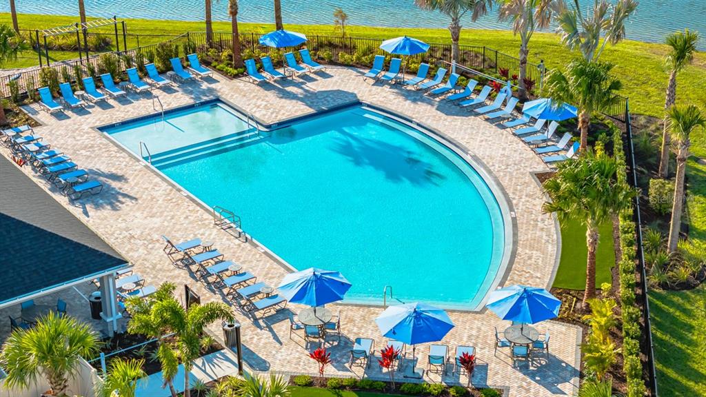 An aerial view of a swimming pool with lounge chairs and umbrellas on a paved deck — 846 STEEL DRIVE, APOLLO BEACH, FL