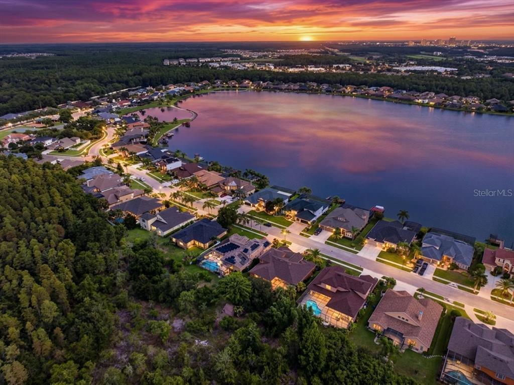An aerial view of a suburban neighborhood with houses bordering a lake at sunset — 16410 IVY LAKE DRIVE, ODESSA, FL