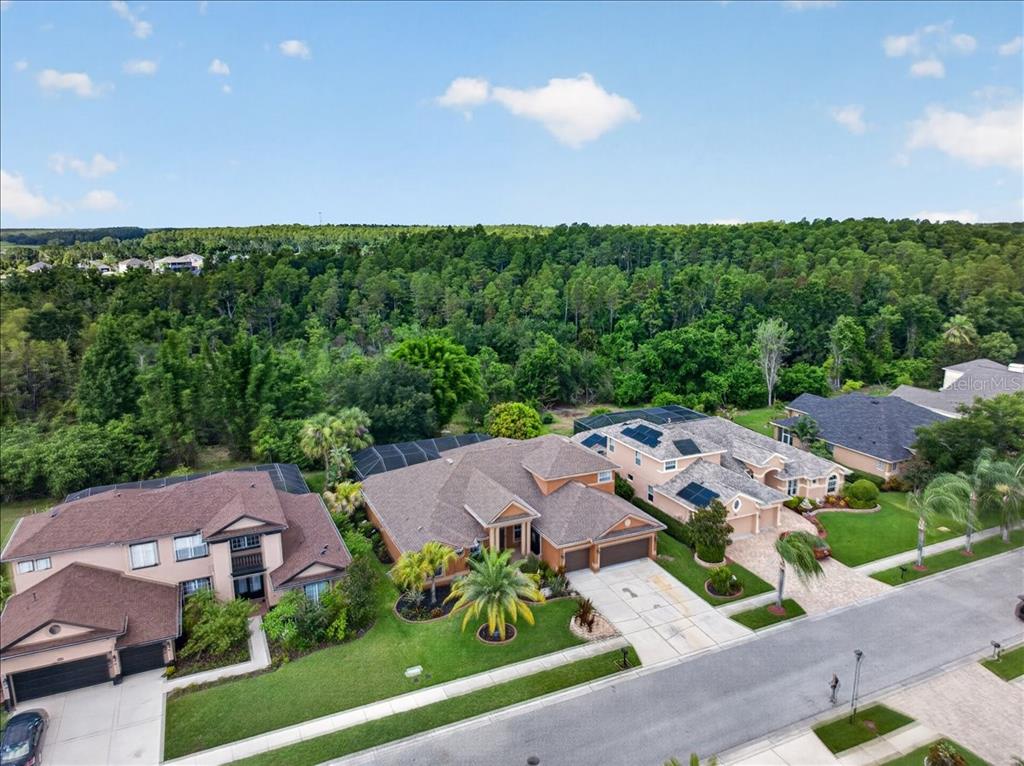 An aerial view shows three suburban houses with driveways and screened-in pools near a forest — 16410 IVY LAKE DRIVE, ODESSA, FL