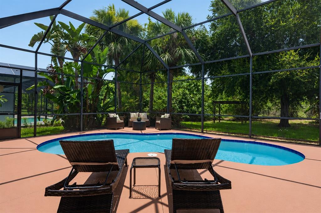 A screened-in pool patio features lounge chairs, a small table, and lush backyard landscaping — 16410 IVY LAKE DRIVE, ODESSA, FL