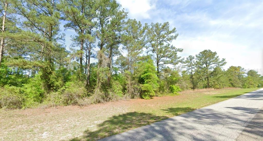 A paved road runs alongside a wooded lot with tall pine trees and grassy ground — 1495 E CITRUS SPRINGS BOULEVARD, CITRUS SPRINGS, FL