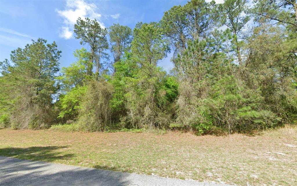 A view of a wooded, undeveloped lot from the edge of a paved road — 1495 E CITRUS SPRINGS BOULEVARD, CITRUS SPRINGS, FL