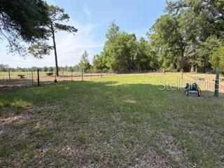 A grassy, fenced backyard features scattered trees and a small, wheeled cart on the right — 4760 NW 55TH AVENUE, BELL, FL