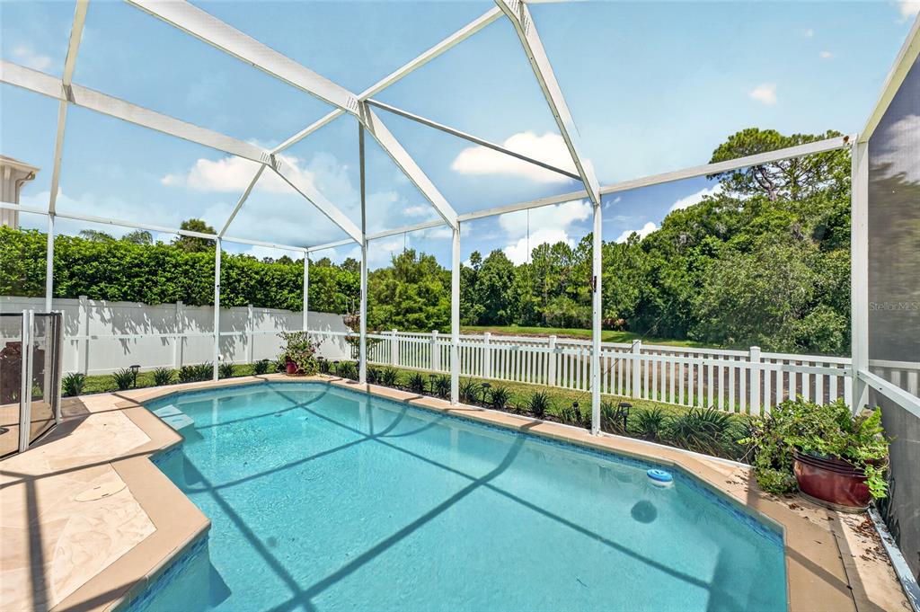A screened-in swimming pool sits in a backyard enclosed by a white vinyl fence — 26943 CORAL SPRINGS DRIVE, WESLEY CHAPEL, FL