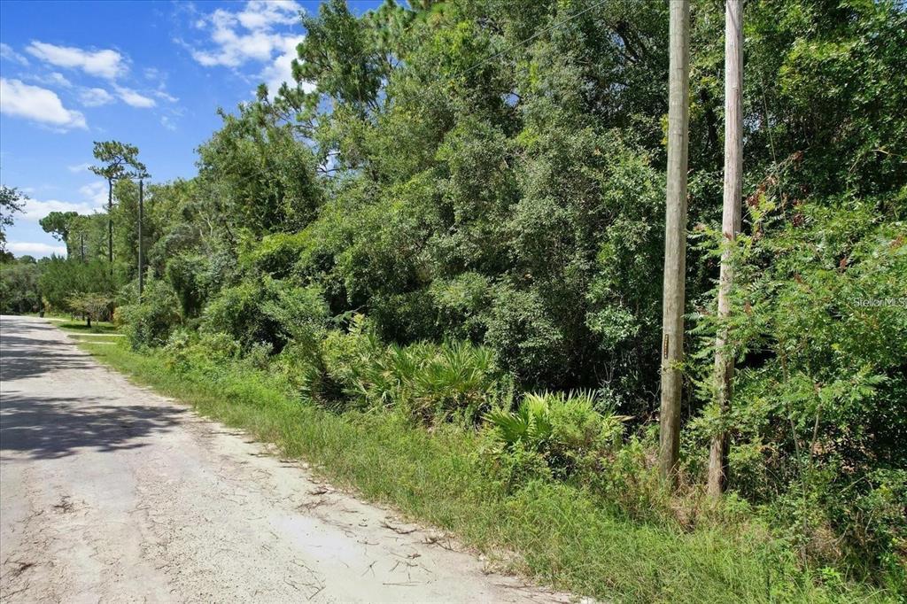 A dirt road runs alongside a densely wooded lot with two utility poles — 1420 S HIGHCLIFF POINT, HOMOSASSA, FL