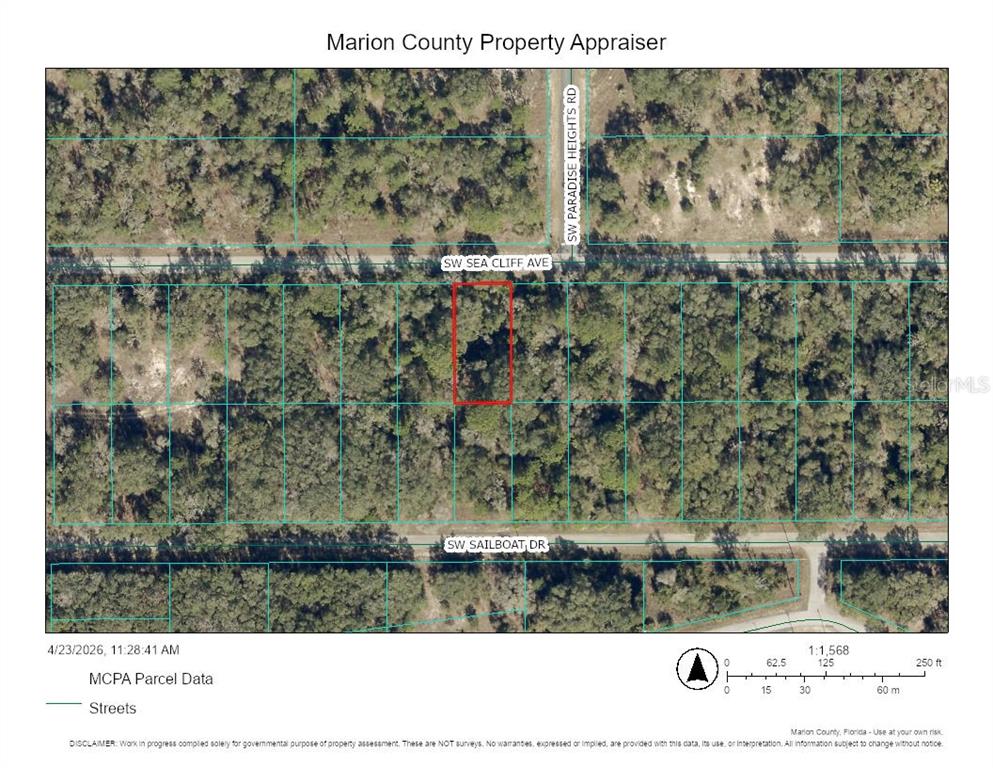 This is a property appraiser map showing a highlighted parcel of land — 0 SW SEA CLIFF AVENUE, DUNNELLON, FL