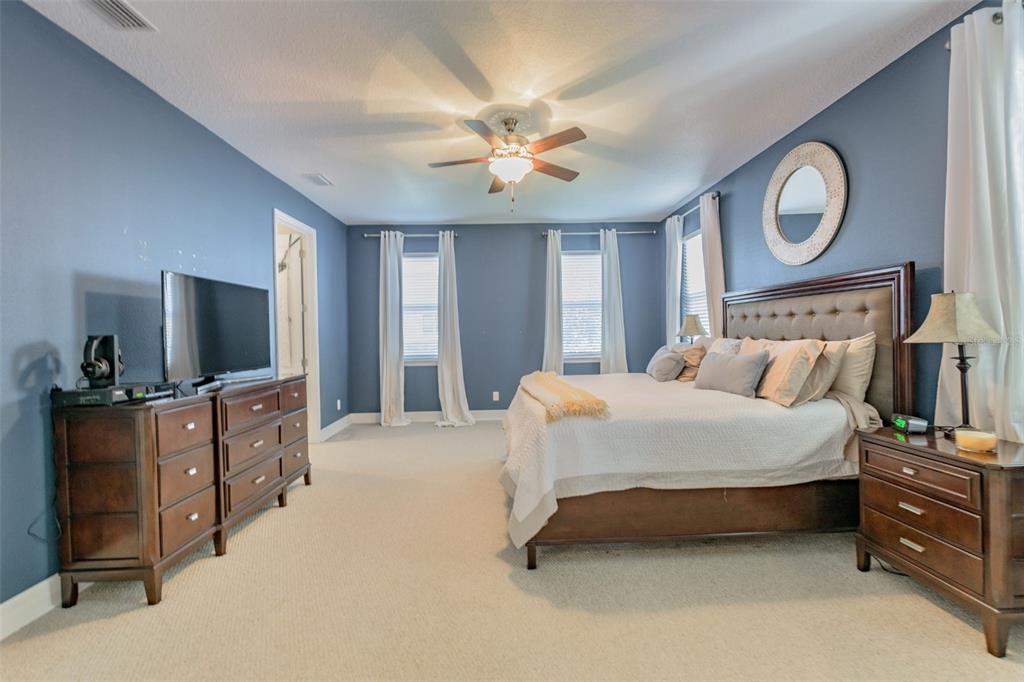 A bedroom features blue walls, a large bed, a wooden dresser, and a ceiling fan — 407 S TAMPANIA AVENUE, TAMPA, FL