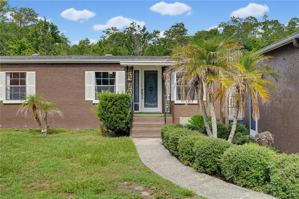 A brown stucco house features a front entrance with a decorative door and palm trees — 7421 HENRY DRIVE, LAND O LAKES, FL