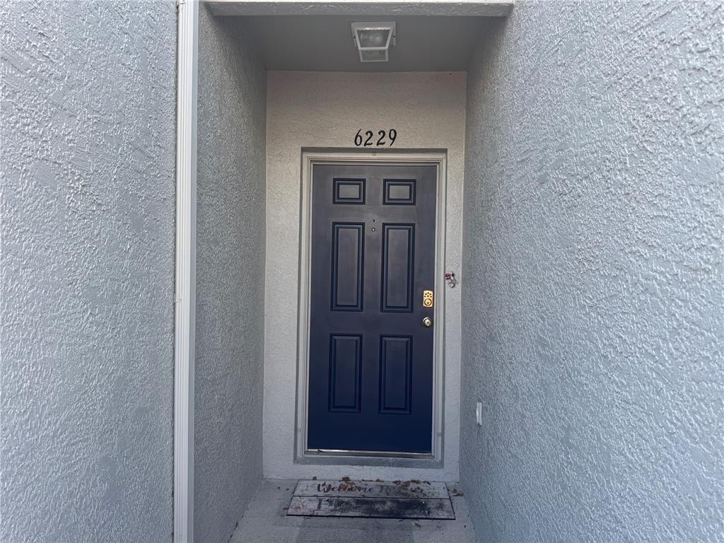 A dark blue front door with a house number above it sits in a recessed entryway — 6229 OSPREY LAKE CIRCLE, RIVERVIEW, FL